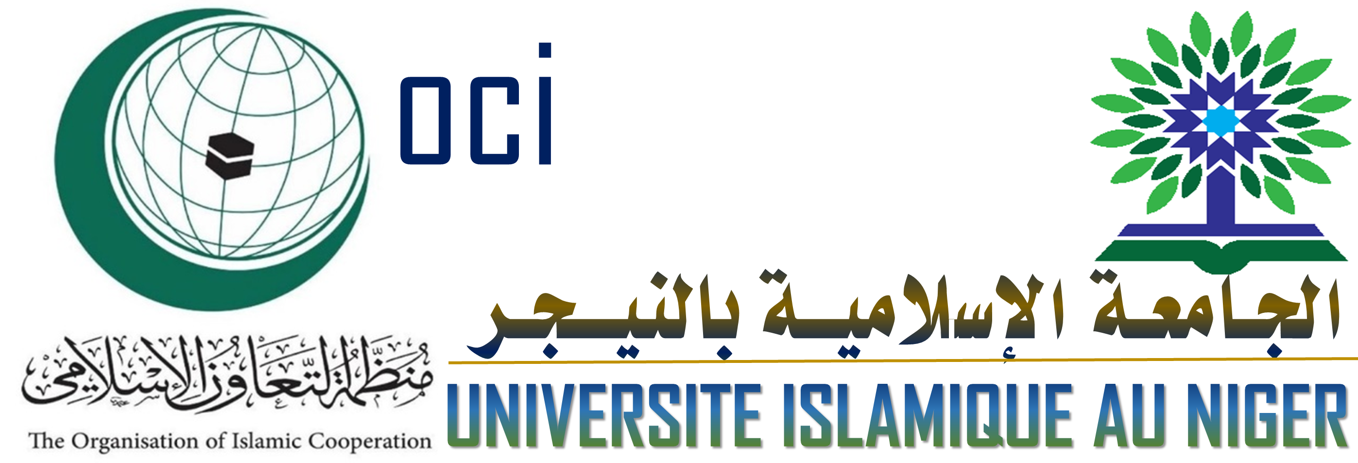 الجامعة الإسلامية بالنيجر
